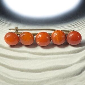Antique Baltic Amber Beaded C-Clasp Brooch Pin